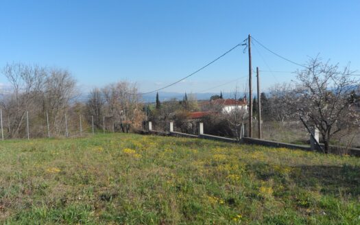 Μονοκατοικία στη Λευκόβρυση