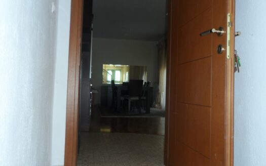 Μονοκατοικία στη Λευκόβρυση