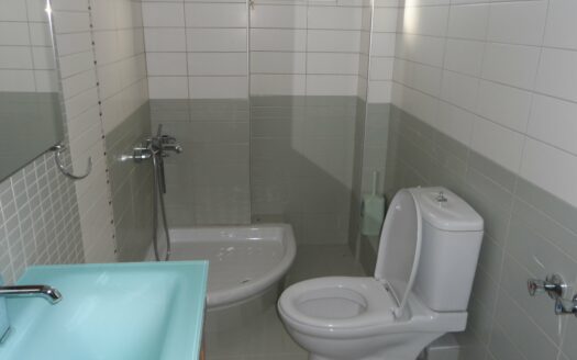 Μονοκατοικία στη Λευκόβρυση