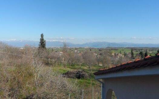 Μονοκατοικία στη Λευκόβρυση