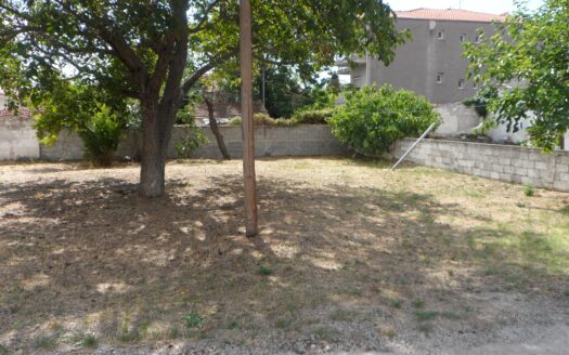 Μονοκατοικία στη Λευκόβρυση