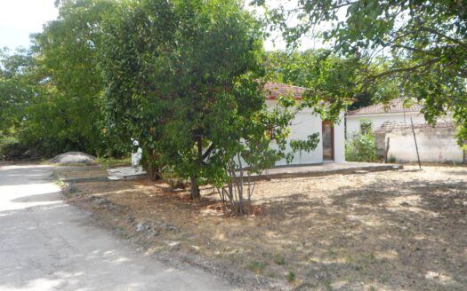 Μονοκατοικία στη Λευκόβρυση