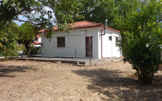 Μονοκατοικία στη Λευκόβρυση