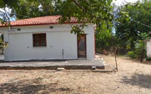 Μονοκατοικία στη Λευκόβρυση