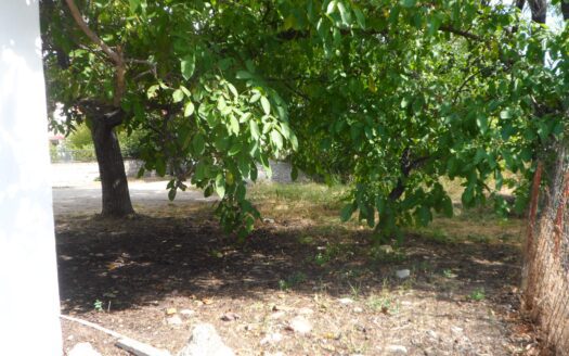 Μονοκατοικία στη Λευκόβρυση