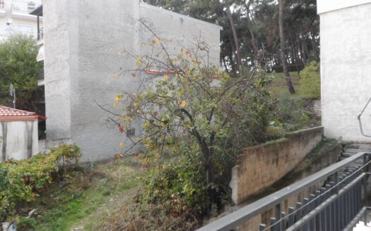 Γκαρσονιέρα στην Κοζάνη