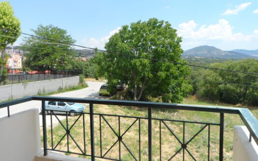 Γκαρσονιέρα στην Κοζάνη